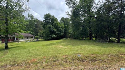 /international/us/7317-lowetown-road-lot-1-mccalla-al-110103185259/