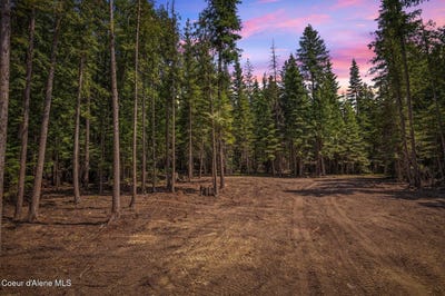 /international/us/nka-wandering-wolf-ridge-lot-3-clark-fork-id-110097743587/