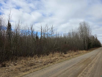 /international/us/10918-oja-rd-hibbing-mn-110107519651/