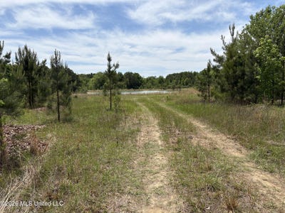 /international/us/finney-road-canton-ms-110086940666/