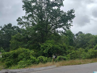 /international/us/3640-logan-martin-dam-road-cropwell-al-110099827849/?lang=zh-tw