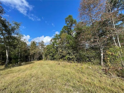 /international/us/1-woodland-heights-w-poplar-bluff-mo-110099883641/