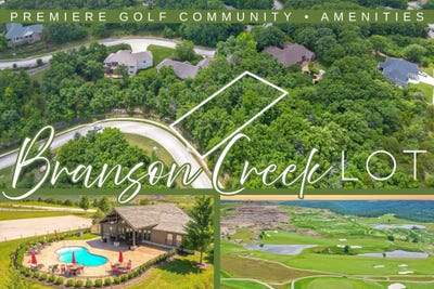 /international/us/137-forest-oak-drive-hollister-mo-110108424095/