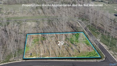 /international/us/garrett-street-lot-29-rainsville-al-110107169477/