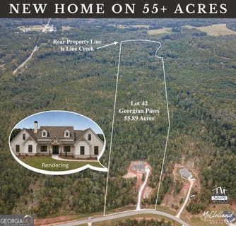 /international/us/starlight-dr-lot-42-senoia-ga-110120484149/