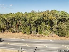 /international/us/e-hwy-25-belleview-fl-110108826665/