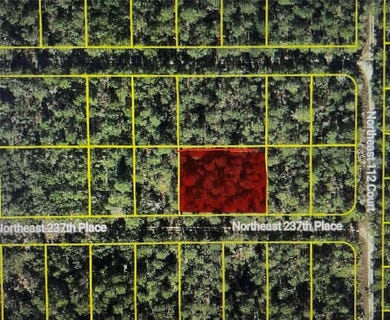 /international/us/ne-237th-place-lots-12-13-fort-mc-coy-fl-110110379891/