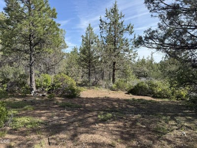 /international/us/porpoise-lane-lot-29-bonanza-or-110108539654/