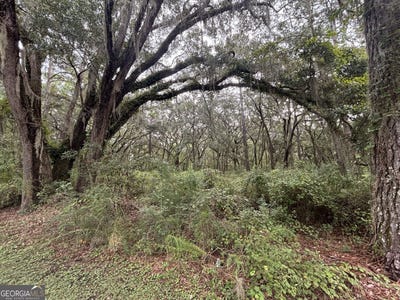 /international/us/carnochan-ln-lot-4-darien-ga-110120456198/