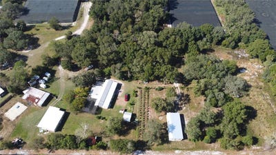/international/us/190-dickie-lane-pierson-fl-110100333729/