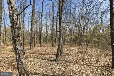 /international/us/crest-haven-road-lot-62-phase-2-romney-wv-110107160472/