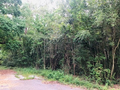 /international/us/nhn-katie-beck-dees-street-lot-3-4-5-picayune-ms-110101359932/