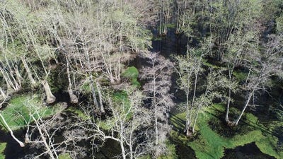 /international/us/county-road-420-ms-110106851616/