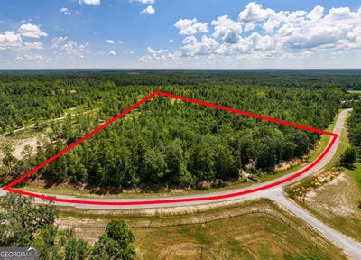 /international/us/5-acres-clark-reese-thomson-ga-110101180420/?lang=zh-cn