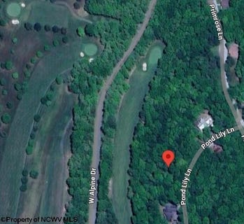 /international/us/283-pond-lily-lane-terra-alta-wv-110100259442/