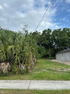 /international/us/palmetto-street-eustis-fl-110108490434/