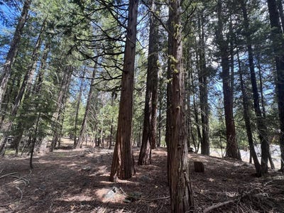 /international/us/30-mohave-trail-graeagle-ca-110085252159/
