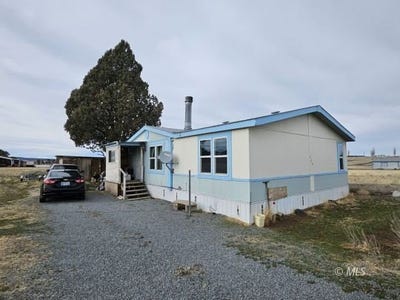 /international/us/mountain-view-dr-alturas-ca-110097805749/