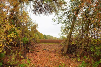 /international/us/lt2-county-road-as-waldo-wi-110102980594/