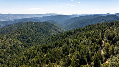 /international/us/8555-signal-ridge-road-philo-ca-110101872256/