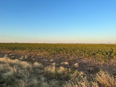 /international/us/1-e-county-road-5400-lubbock-tx-110089596288/
