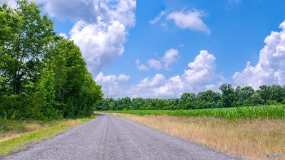 /international/us/28-acres-county-road-62-section-al-110093163493/
