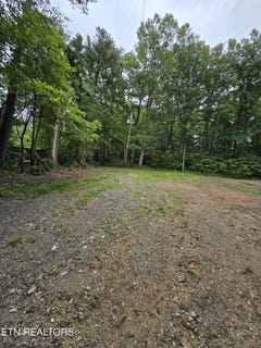 /international/us/689-ivey-hollow-rd-lafollette-tn-110099790764/