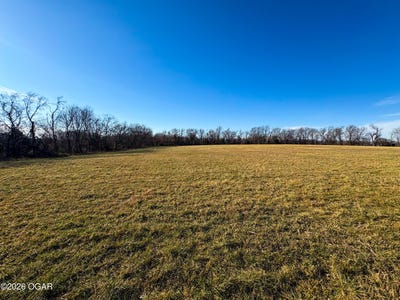/international/us/pine-street-carterville-mo-110104513150/