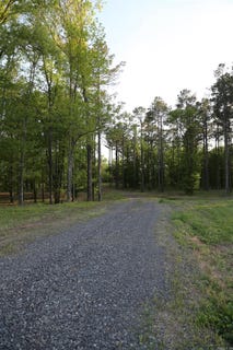 /international/us/sunshine-ln-pangburn-ar-110107394665/