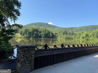 /international/us/233-stone-cliff-drive-ellijay-ga-110109167281/