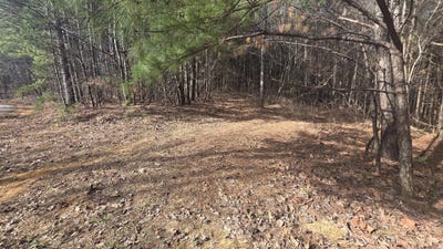 /international/us/180-rock-creek-drive-old-fort-tn-110105049231/