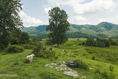 /international/us/1430-clinch-valley-55-55-acres-rd-sneedville-tn-110119549835/