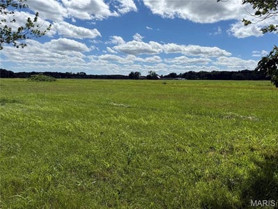 /international/us/tbd-west-fellin-drive-mount-olive-il-110108795659/
