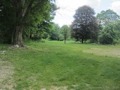 /international/us/284-willimantic-road-chaplin-ct-110100977718/?lang=zh-tw