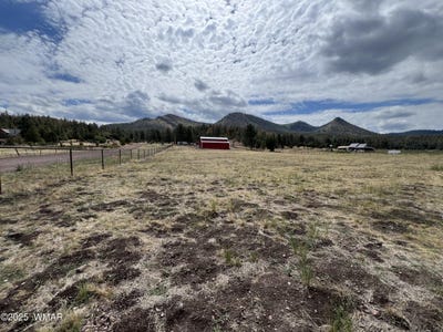 /international/us/tbd-county-road-n2276-nutrioso-az-110101039747/