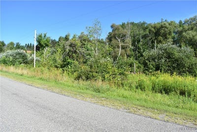 /international/us/9190-ball-road-cattaraugus-ny-110101827365/