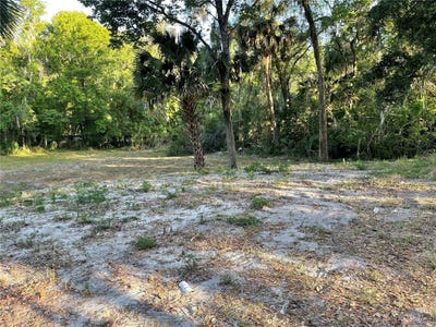 /international/us/park-avenue-de-leon-springs-fl-110099129518/?lang=zh-tw