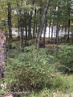 /international/us/pocono-blvd-lot-33-bushkill-pa-110094994535/