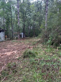 /international/us/65-serenity-lane-poplarville-ms-110101429210/