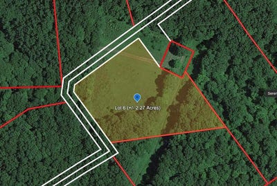 /international/us/119-woodchuck-run-bragg-wv-110103356507/