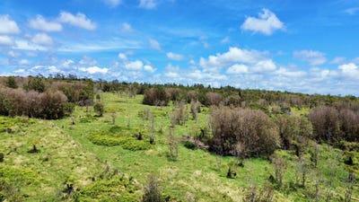 /international/us/18-4292-luna-ikena-rd-mountain-view-hi-110104818603/
