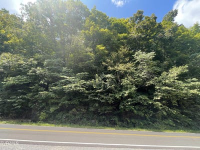 /international/us/1520-pioneer-road-lebanon-va-110119734325/