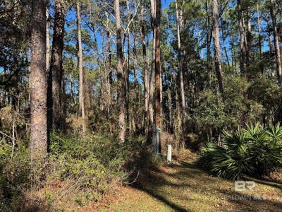 /international/us/1106-narbonne-place-dauphin-island-al-110097603927/