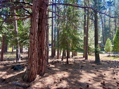 /international/us/38-tolowa-trail-graeagle-ca-110100332167/