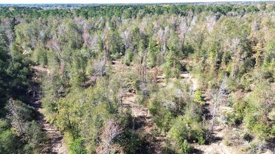 /international/us/fm-1280e-lovelady-tx-110103525653/