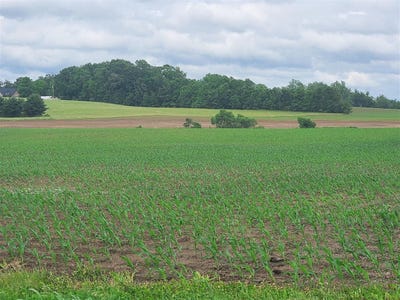 /international/us/00-witt-road-franklin-ky-110077066377/