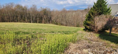 /international/us/kyles-ct-lot-7-rocky-mount-va-110106537334/