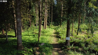 /international/us/0-carlon-loop-rd-longview-wa-110101070724/?lang=en