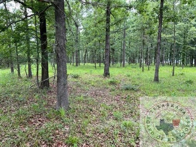 /international/us/000-s-eagle-s-way-south-bradley-ar-110085231911/