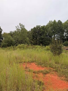 /international/us/440-fallings-waters-way-greer-sc-110110354529/